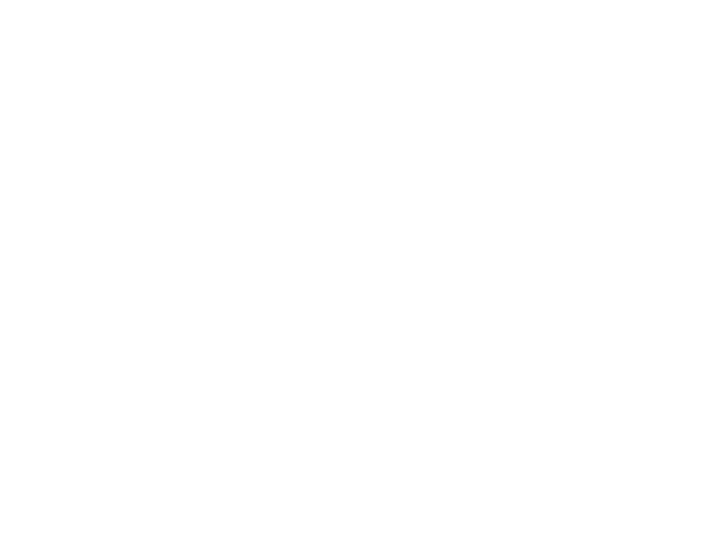 Paradise Ibiza